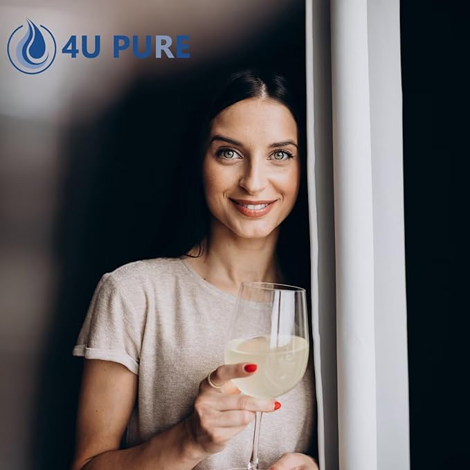 FPPWFU01 Replacement Compatible with EPPWFU01 PureAdvantage PWF-1 FPPWFU01 PurePour PWF-1 Water and Ice Filter, 3 Pack