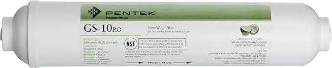 Pentek 255525-43 Inline Carbon