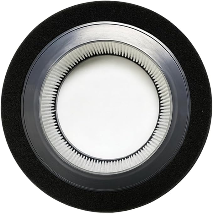 Nispira Replacement Filter L True HEPA + Activated Carbon Pre Filter Compatible with GermGuardian Air Purifier AC4200W FLT4200, 2 Packs