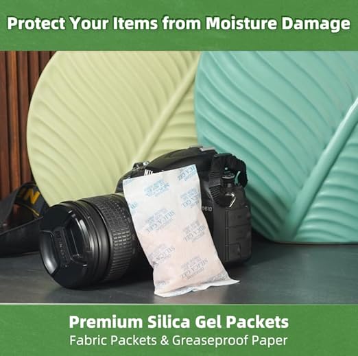 100 Gram (10 Packets) Silica Gel Packets, Desiccant Packs Silica Gel Desiccant Packets for Storage Rechargeable Moisture Absorbers Bags with Indicating Beads