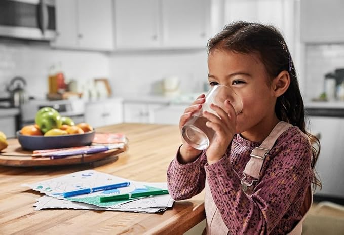 Frigidaire WF3CB Puresource3 Refrigerator Water Filter, White, 1 Count (Pack of 1)