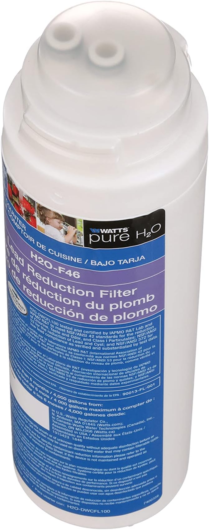Watts Premier 0.5 Micron Lead Reduction Filter for Pure H2O Lead Filtration System H2O-DWCFL100, Flow Rate 1.5 GPM, 1/4 Turn Quick Change, Reduces Sediment, Chlorine Taste & Odor