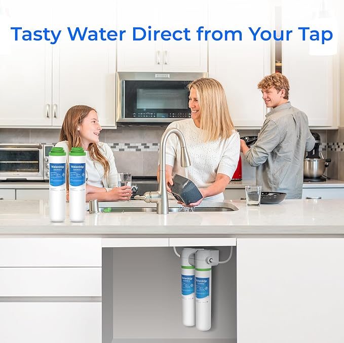 Waterdrop FQK2J Under Sink Water Filter, Replacement for GE FQK2J, FQK1K, 1350 Gallons Dual Flow Drinking Water Replacement Filters (2 Count)