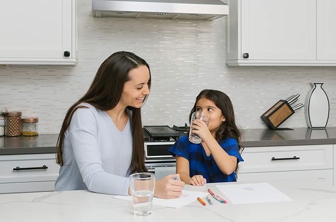 Watts Premier H2O-DWCFL100 Pure H2O Lead Reduction Filtration System with Full-Flow Filter and Supply Line Adapter, Flow Rate 1.5 GPM, 1/4 Turn Quick Change, Reduces Sediment, Chlorine Taste & Odor