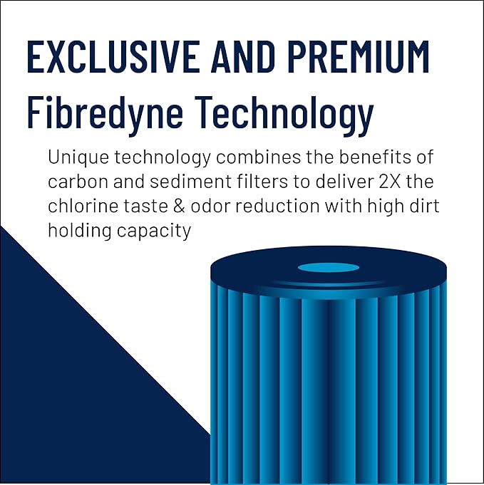 Pentair Pentek FloPlus-10BB Big Blue Carbon Water Filter, 10-Inch, Whole House Modified Molded Carbon Block Replacement Cartridge, 10" x 4.5", 0.5 Micron