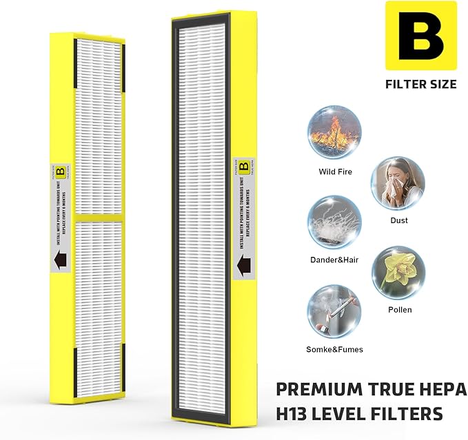 SAKEGDY 4 Packs FLT4825 HEPA Replacement Filter B Compatible with Ge-Guardian Air Cleaner Purifier AC4825 AC4300 AC4800 AC4900 AC4850, 4 Pack HEPA Filter B with 8 Carbon Filters