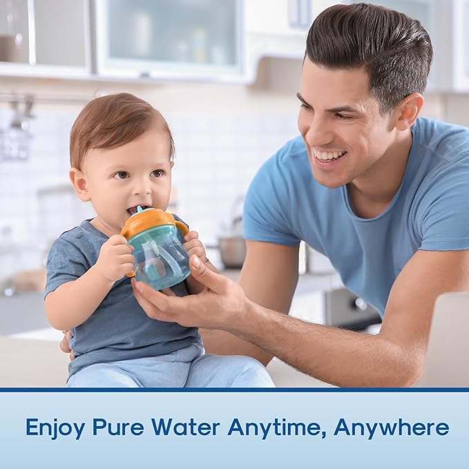 ICEPURE NSF53 Certified Multiple-Stage Replacement Water Filters, Pitcher Filters and Dispenser Filters Replacement for Zero Pitchers ZR-017, ZR-001, ZR-003, ZR-004, ZR-006, ZR-008, 0-TDS 4PACK