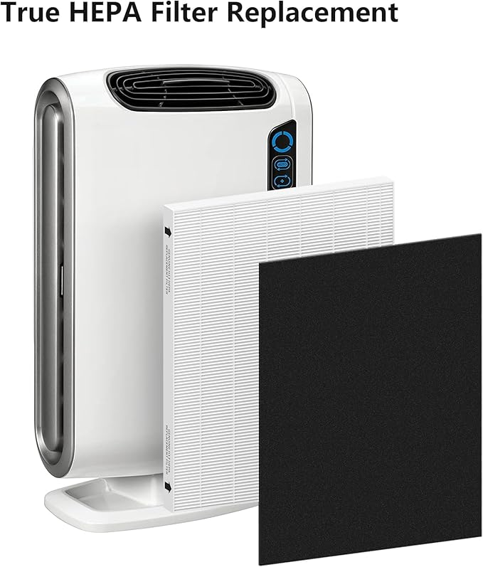 2 Pack Replacement Filter for Fellowes AeraMax 190/200/DB55/DX55 Purifier, Fits Part# 9287101 & 9324101, 2 Filter and 6 Carbon Filter