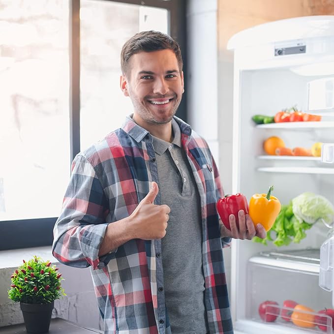 GLACIER FRESH Replacement For Sub-Zero Refrigerator Air Purification Cartridge 7042798, 7007076, 7007067 Air Filter (2 Pack)