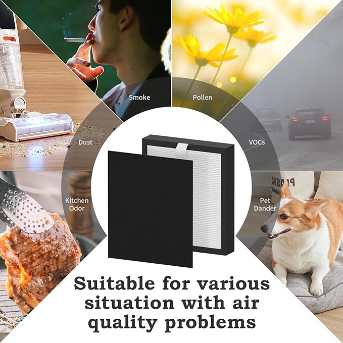 2 Packs Replacement Filter B Compatible with Idylis AC-2125,AC-2126, IAP-10-125, IAPC-40-140, IAP-10-150, IAP-10-050 Air Cleaner Purifier,Part # IAF-H-100B