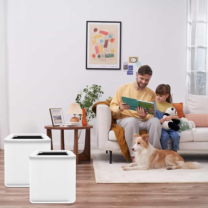 2 Pack 211+ Replacement Filter Compatible with 211 Air Puri-Fier, Activated Carbon 211 Filter