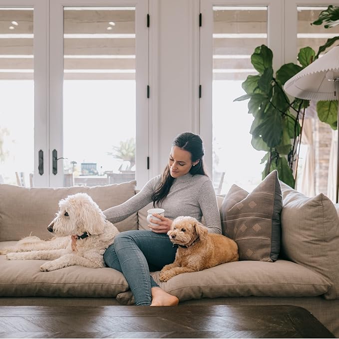 NU Aqua Reverse Osmosis Carbon Block Filter 10 Inch Replacement - 5 Micron Universal RO Water Filtration System Cartridge - 2 Pack of Premium Filters