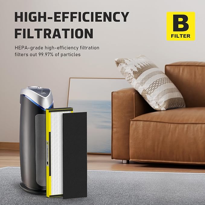 2 Packs FLT4825 HEPA Replacement Filter B Compatible with AC4825 AC4825E AC4300 AC4800 AC4900 AC4850, 2 True HEPA Filters & 6 Activated Carbon Pre-Filters