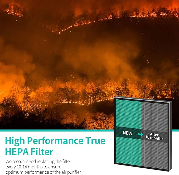 Airmega 250/250S Max2 Replacement Filters (2 Pack) - Green True HEPA & Activated Carbon Filters Compatible with Coway Airmega 250, 250S, 250ART, AP-1720-FP