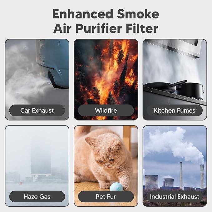 Core 300 Pet Care Replacement Filter for LEVOIT Core 300S and Core 300-P Air Purifier, 3-in-1 H13 True HEPA Filter Replacement, Compared to Part # Core 300-RF-PA,Pack of 2