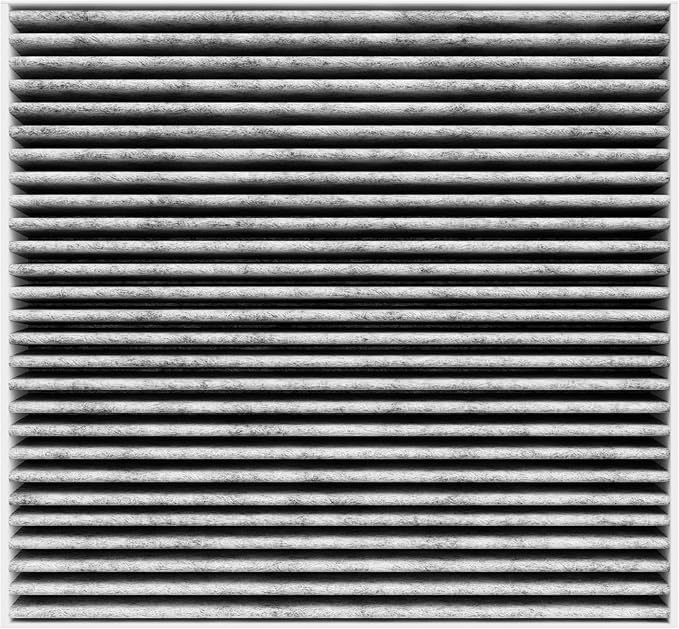 Spearhead Odor Defense Breathe Easy Cabin Filter, Fits GV60, Elantra/N, Ioniq 5, Santa Cruz, Santa Fe, Sonata, Tucson, EV6, K5, Niro, Sorento, Sportage, 25% Longer Lasting w/Activated Carbon (BE-820)