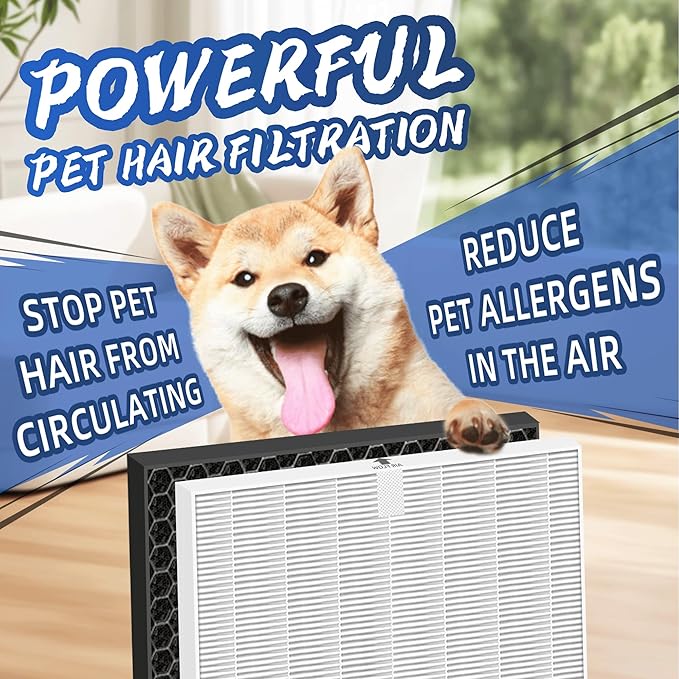 116130 HEPA Replacement Filter H for Winix 5500-2 Am80 Plasmawave Air Purifier,H13 True HEPA High-Efficiency Activated Carbon Filter,2 Combon Set