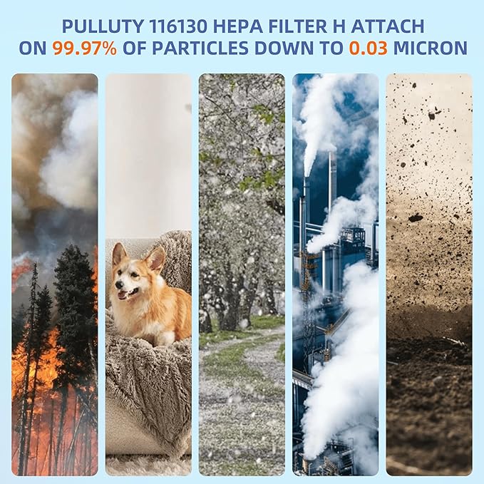 116130 HEPA Pet Care Replacement Filter H for Winix 5500-2 Am80 Plasmawave Air Purifier True HEPA Carbon Filter,2 Set,Yellow