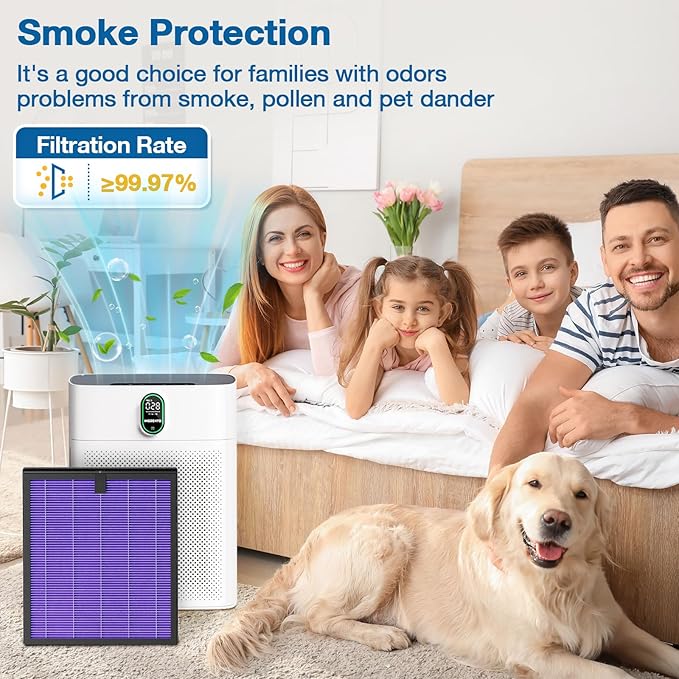 2 Pack HY4866 Replacement Filters for MORENTO/WESTHEY HY4866 Air Purifier and YIOU M1 Air Purifier, 3-in-1 H13 True HEPA Filter High-Efficiency Activated Carbon Filter, Multifunction Version