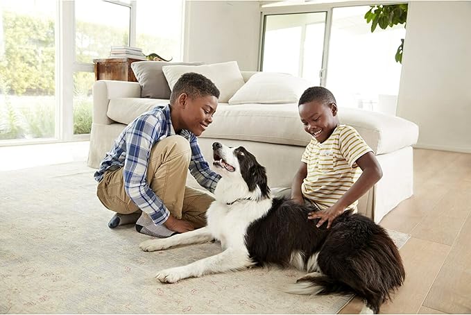 Filtrete 14x20x1 AC Furnace Air Filter, MERV 12, MPR 1500, CERTIFIED asthma & allergy friendly, 3 Month Pleated 1-Inch Electrostatic Air Cleaning Filter, 4-Pack (Actual Size 13.81x19.81x0.78 in)