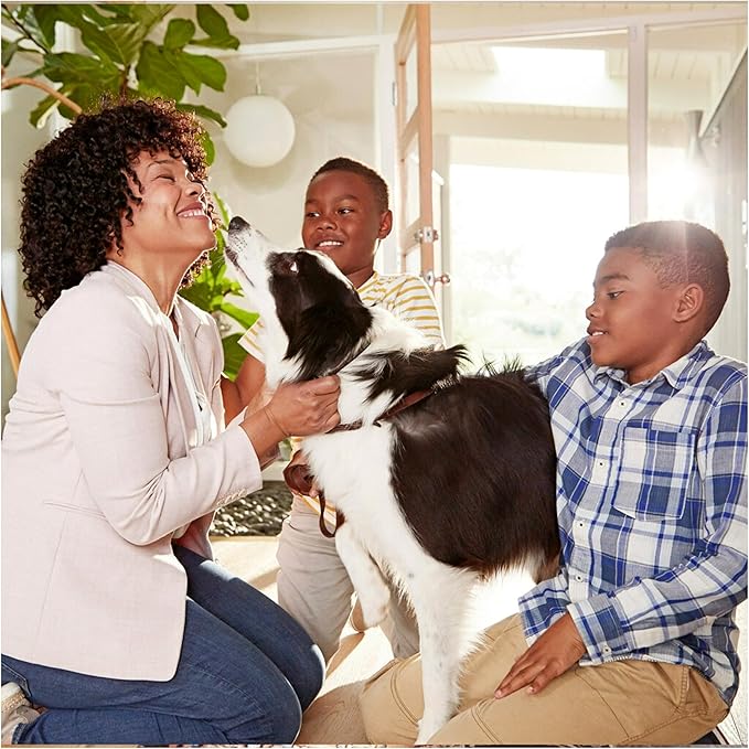 Filtrete 16x24x1 AC Furnace Air Filter, MERV 12, MPR 1500, CERTIFIED asthma & allergy friendly, 3 Month Pleated 1-Inch Electrostatic Air Cleaning Filter, 2-Pack (Actual Size 15.81x23.81x0.78 in)