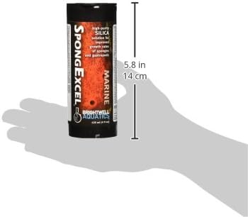 Brightwell Aquatics SpongExcel – Ionic Silica Solution for Marine Sponge & Gastropod Growth in Marine Aquariums, Boosts Water Quality, 125 ml