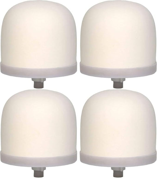 Ceramic Dome Water Filter Element with Silver Purification (4)