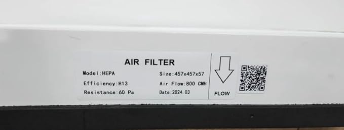 Phoenix Guardian-R Hepa Filter