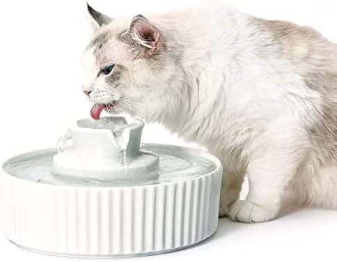 2.1L Ceramic Cat Water Fountain-for Cats and Dogs, 360 Ceramic Pet Fountain-70 Oz Large Water Capacity - Whisper-Quiet Water Flow-Great for Shy or Timid Pets - Fresh, Filtered Water(White)