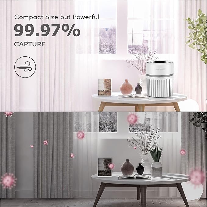 MEGAWISE EPI810 Air Purifier Equipped with Genuine HEPA Filter, Covering an Area of up to 215 sq ft, Addresses Airborne Particulates, Pet Dander & Odors, and Low-decibel Air Filters.