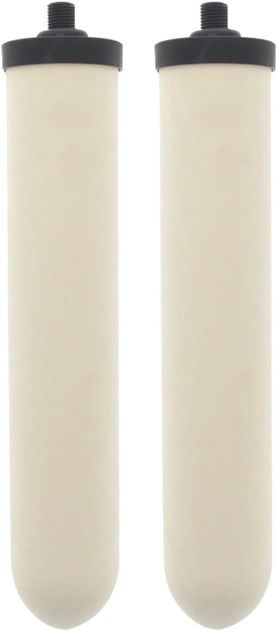 Doulton W9123053 UltraCarb 10 Inch Ceramic Candle Filter Cartridge (2 PACK)