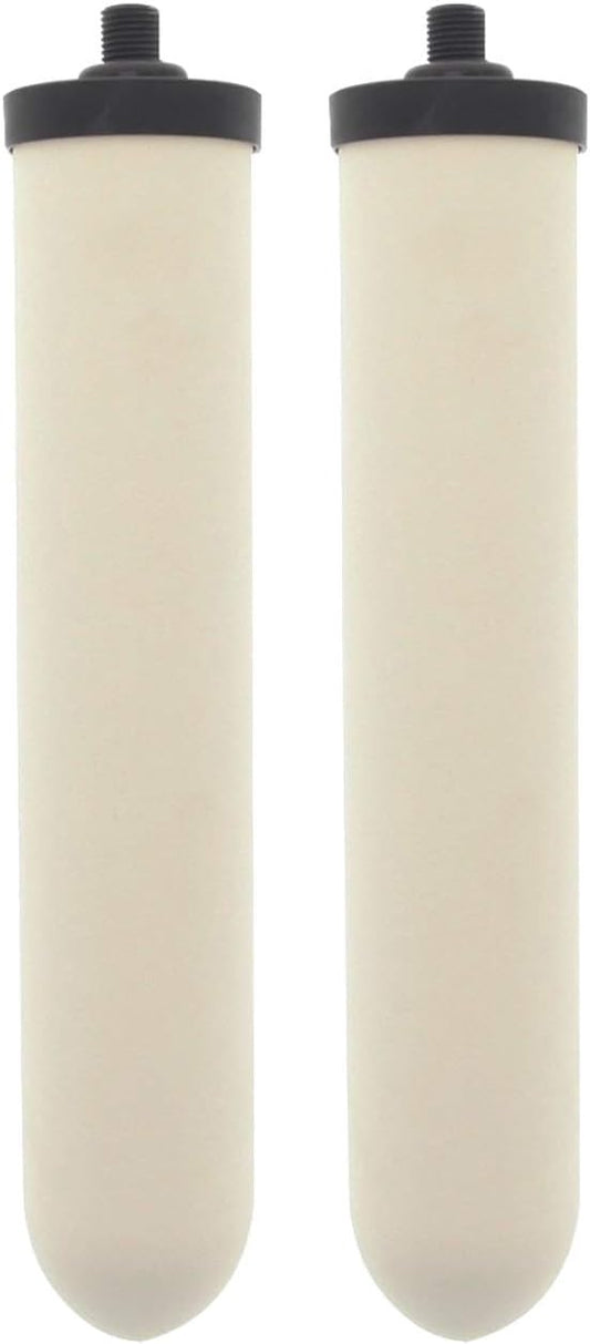 Doulton W9123053 UltraCarb 10 Inch Ceramic Candle Filter Cartridge (2 PACK)