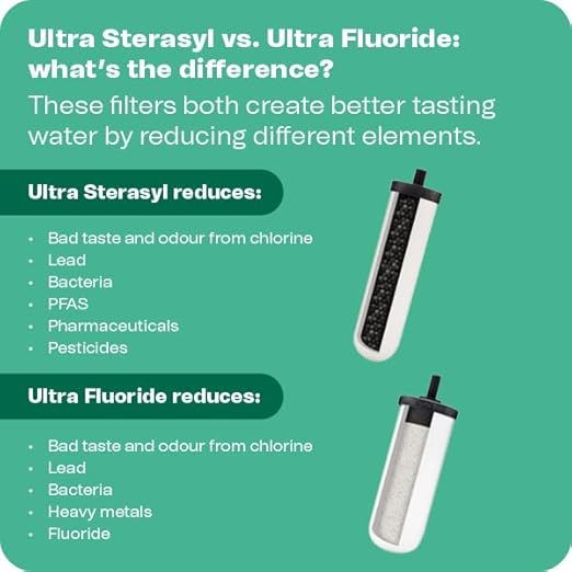 British Berkefeld Doulton W9361136 Countertop Water Filter System Stainless Dispenser