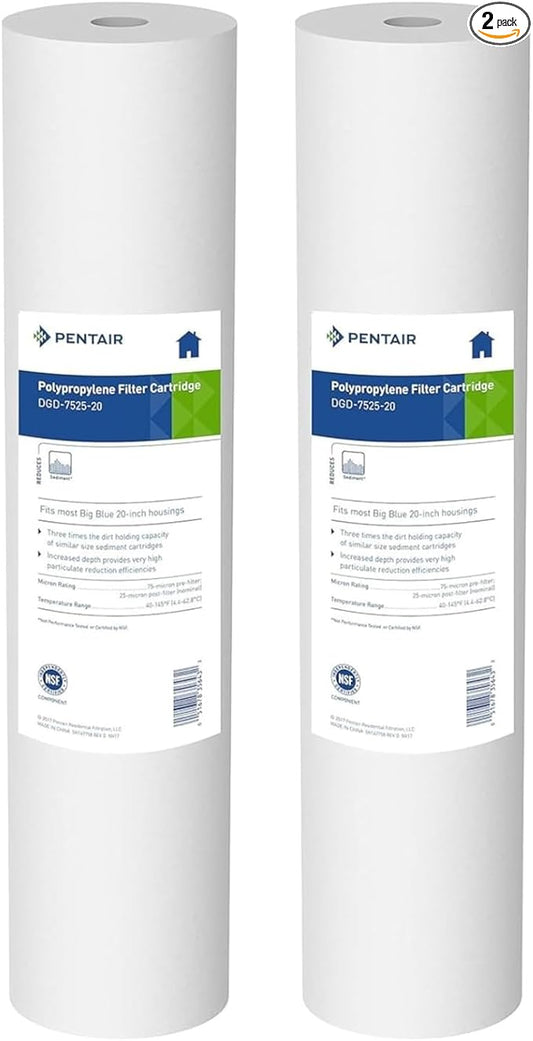 Pentair Pentek DGD-7525-20 Big Blue Water Filter, 20-Inch Whole House Sediment Filter Cartridge Replacement, Dual-Gradient Density Spun Polypropylene, 20" x 4.5", 25 Micron, Pack of 2, White