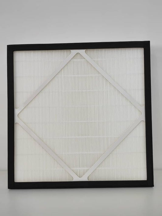 Phoenix Guardian-R Hepa Filter