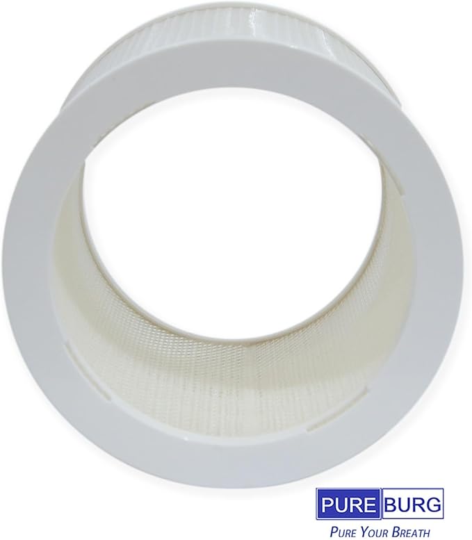 PUREBURG AS06FT-2 Replacement Filters Compatible with DH Lifelabs Aaira Mini Humidifier Hydrating Dry Air Purifier, 2-Pack