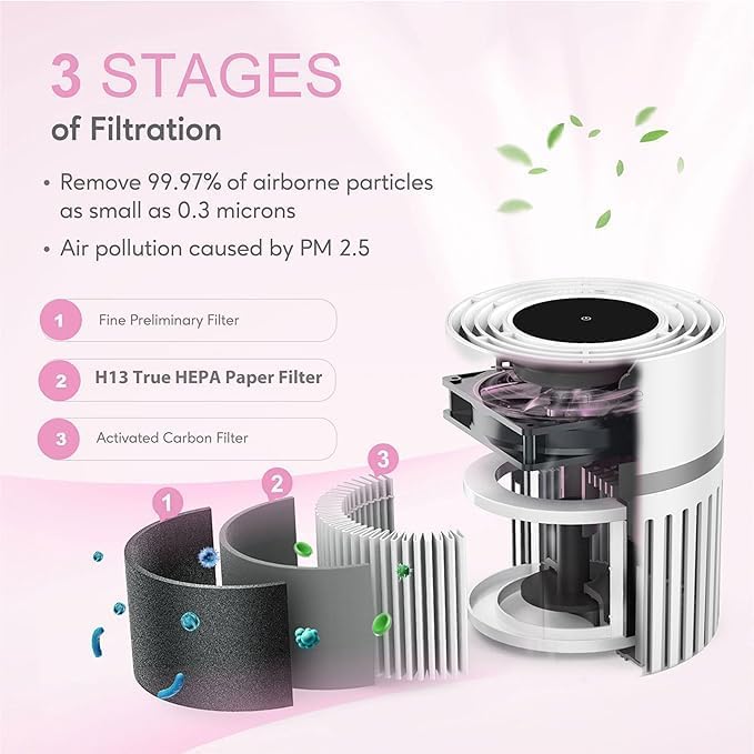 MEGAWISE EPI810 Air Purifier Equipped with Genuine HEPA Filter, Covering an Area of up to 215 sq ft, Addresses Airborne Particulates, Pet Dander & Odors, and Low-decibel Air Filters.