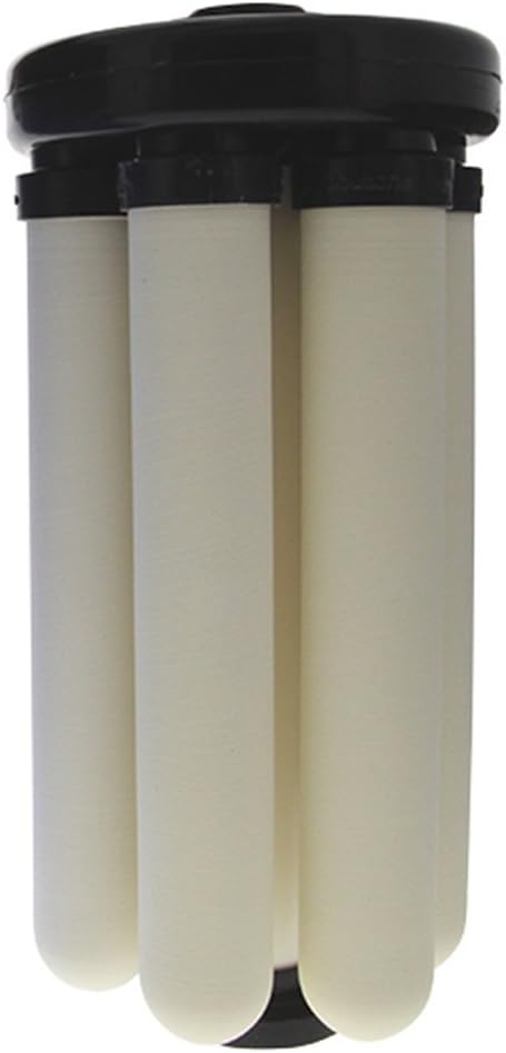 Doulton W9381000 Rio 2000 Module Including 6 x Bespoke Sterasyl Ceramic Drinking Water Candle Filters 8 inch for High Flow Big Blue Housing, White, 1 Pack
