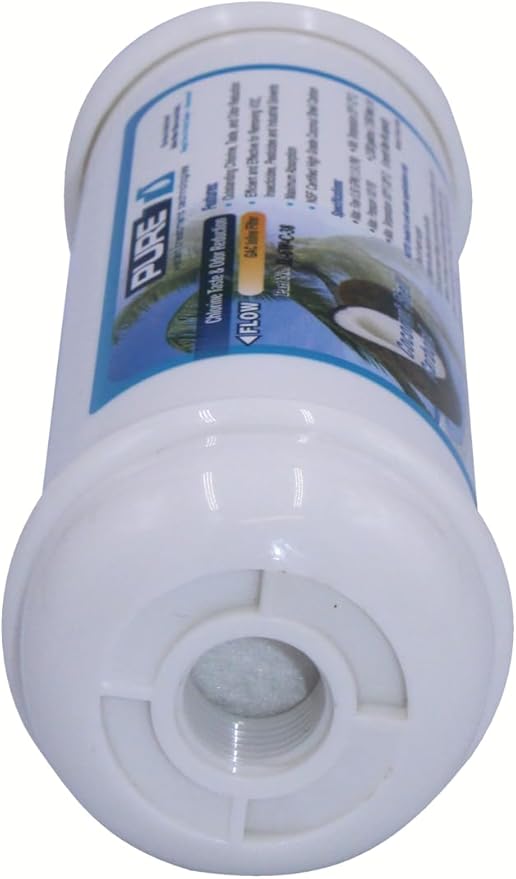 PureT IL-6W-C-38, 2"x6" (3/8" Threaded Connection) Inline Post GAC Carbon Filter - NSF Certified - Reverse Osmosis Water Filter, Lifetime of 1 Year or 700 Gallons