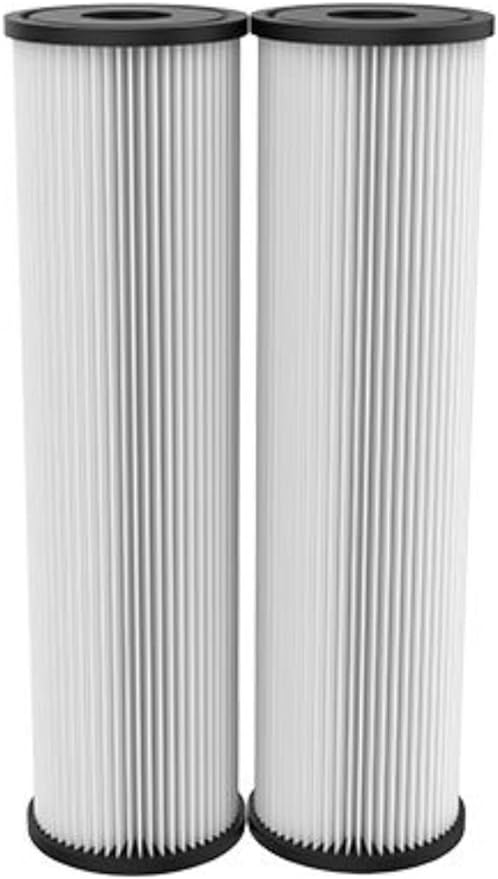 Pentair OMNIFilter RS1 Sediment Water Filter, 10-Inch, Standard Whole House Pleated Cellulose Sediment Replacement Filter Cartridge, 10" x 2.5", 20 Micron, Pack of 2
