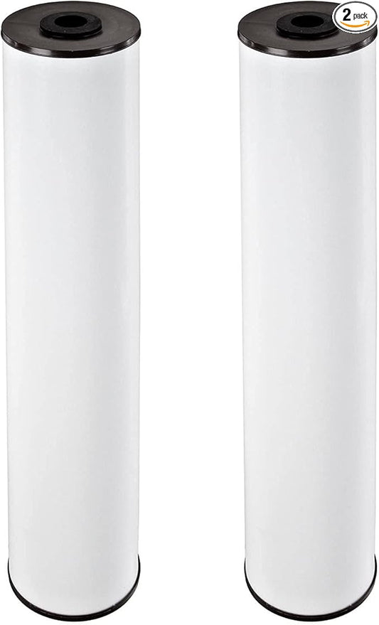 Pentair Pentek RFFE20-BB Big Blue Water Filter, 20-Inch, Whole House Radial Flow Iron Reduction Replacement Cartridge, 20" x 4.5", Pack of 2