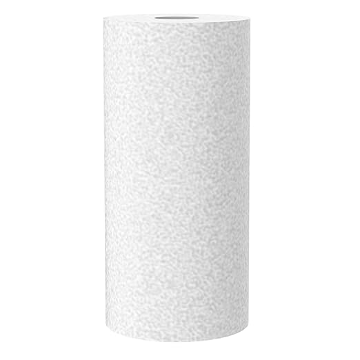 Replacement Cartridge Sediment Filter for Whole House Water Filter OM-UF04, 1 Pack