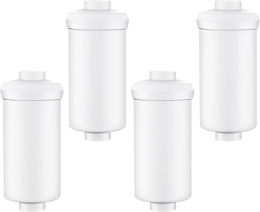 4 Pack Fluoride Water Filter,Replacement for PF-2® Fluoride Filters, Fluoride and Arsenic Filter Compatible with Berkey Gravity Filtration System、 Big、 Travel、 Royal、Imperial and Crown Series