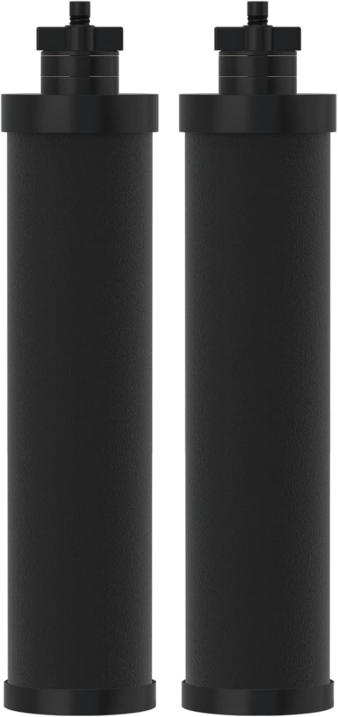 ICEPURE Water Filter Replacement for Berkey® BB9-2 Black Purification Elements, Berkey® Gravity-fed Water Filter System, 2PACK