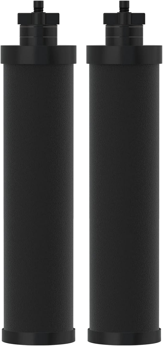 ICEPURE Water Filter Replacement for Berkey® BB9-2 Black Purification Elements, Berkey® Gravity-fed Water Filter System, 2PACK