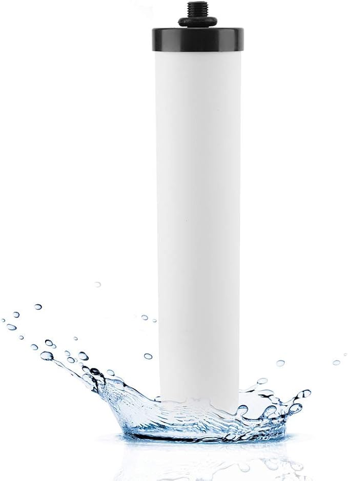 Ceramic Water Filter Element, with 1/4in Water Outlet Filtration System Purify Replacement Part Water Filters Candle Cartridge and Replacement House Dome Ceramic Filtration for Kitchen