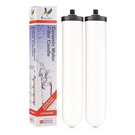 Doulton W9123053 9501 10" UltraCarb NSF Certified BSP Thread Ceramic Filter Candle Element Cartridge - 2 Pack