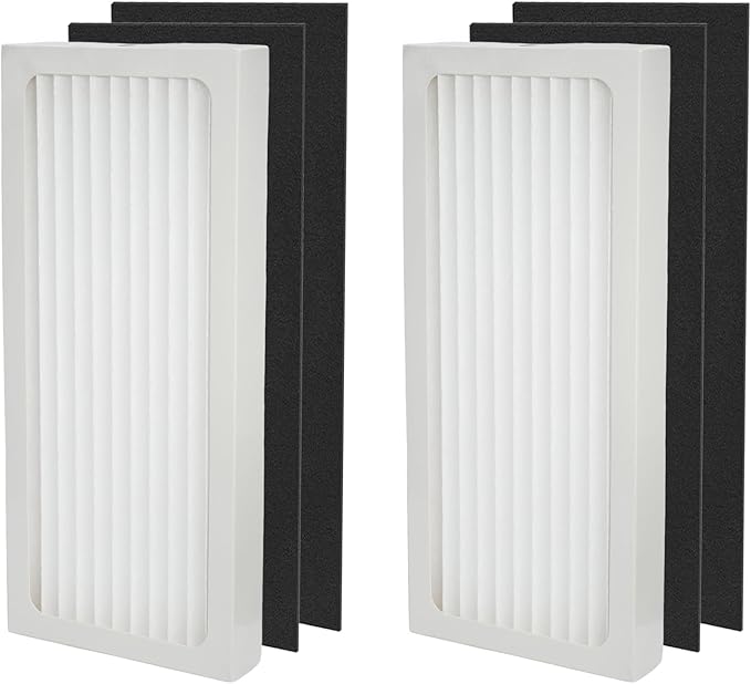 990051000 Replacement True HEPA Filter Set Compatible with Hamilton Beach TrueAir 04383/04384/04385/04386 Air Purifiers, 2 HEPA Filters & 4 Activated Carbon Pre-Filters, Part# 990051000
