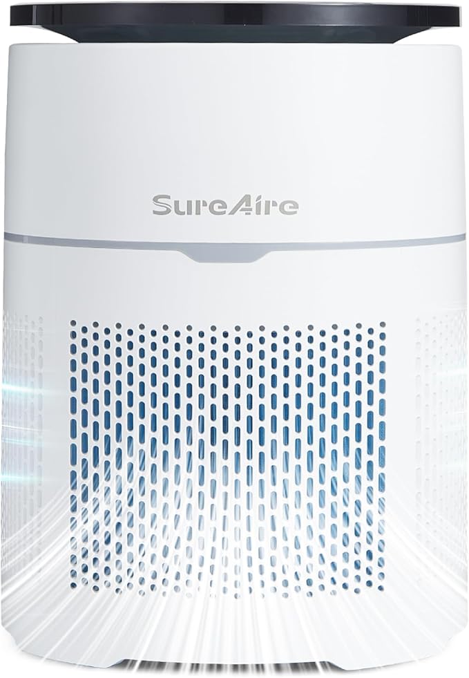 Air Purifier for Home Office, 360° Air Intake Outlet, Portable HEPA Filter Air Cleaner for Room Dust, Smoke, Pollen, Pets Dog Cat Dander, Odor, Low-noise Auto Mode, Desktop Size