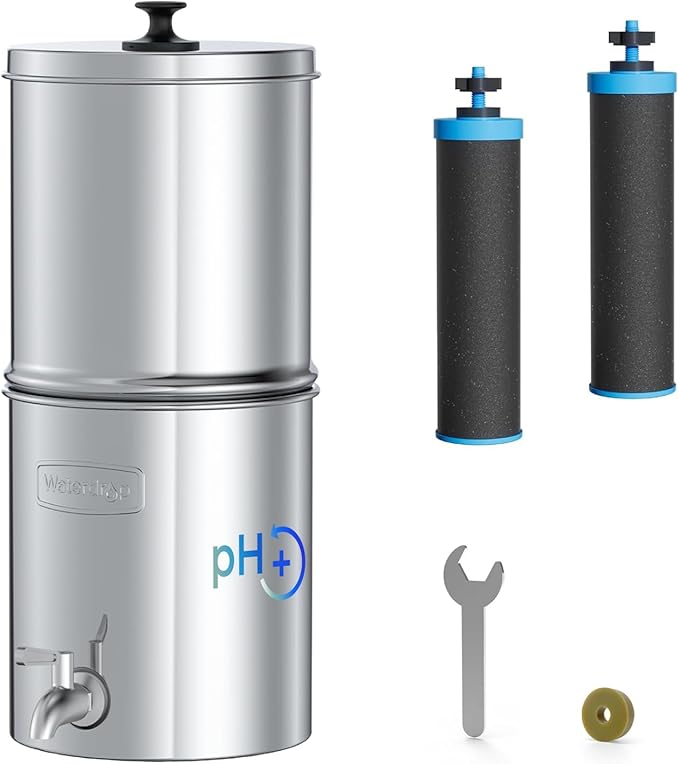 [Alkaline] Waterdrop Gravity-fed Water Filter System, Increase PH, Reduces Lead and up to 99% of Chlorine, with 2 Black Carbon Filters and Metal Spigot, King Tank Series, 2.25G